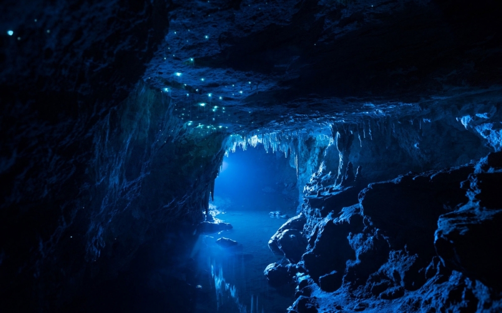 Пещера светлячков в Новой Зеландии.jpg