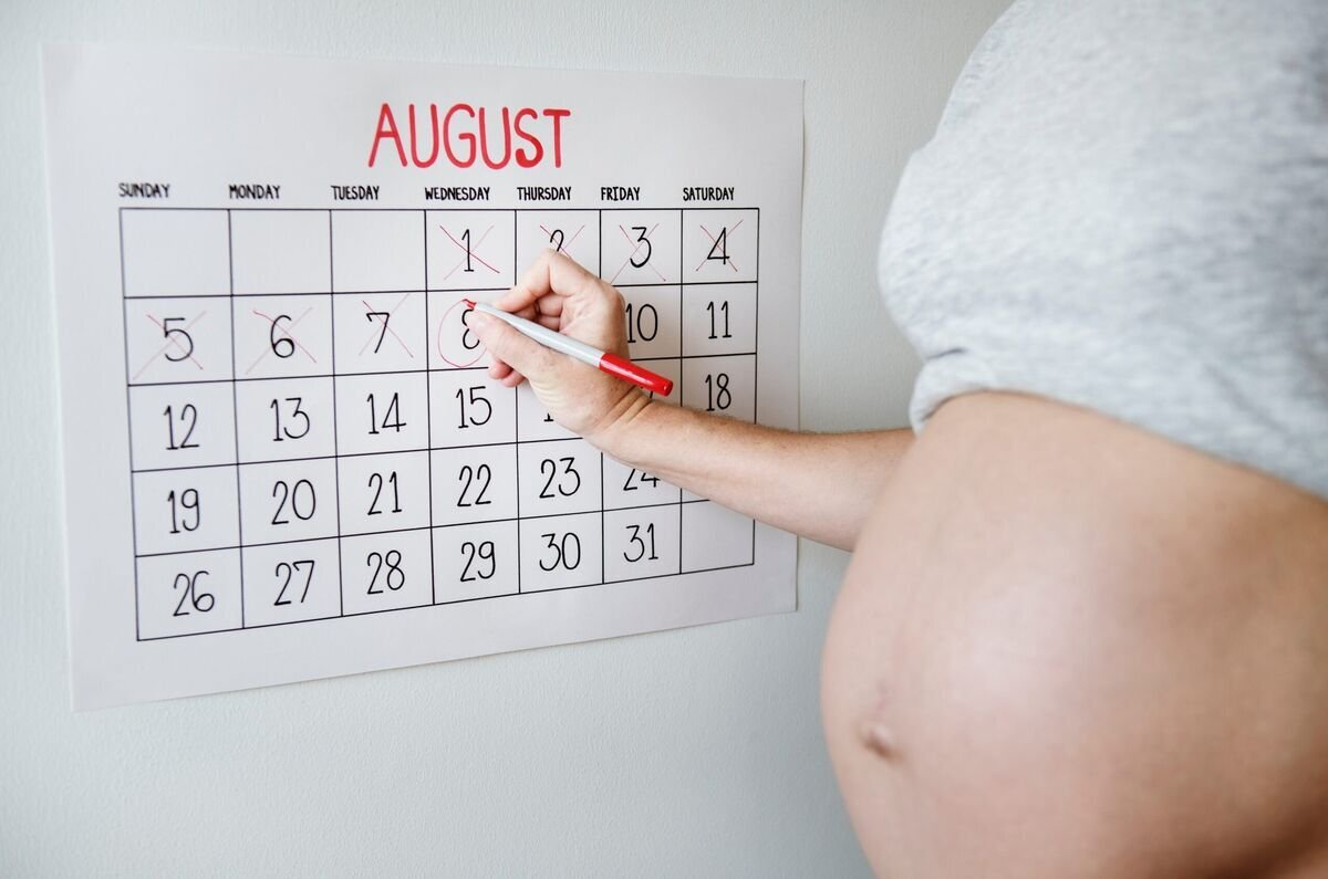 Календарь беременности по неделям и месяцам фото